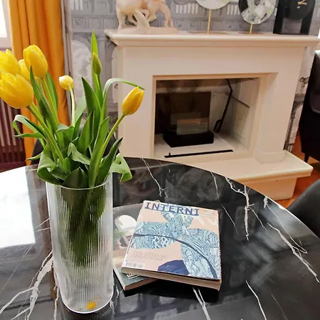 Suity I Monkeys * Roma